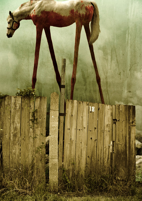the horse
